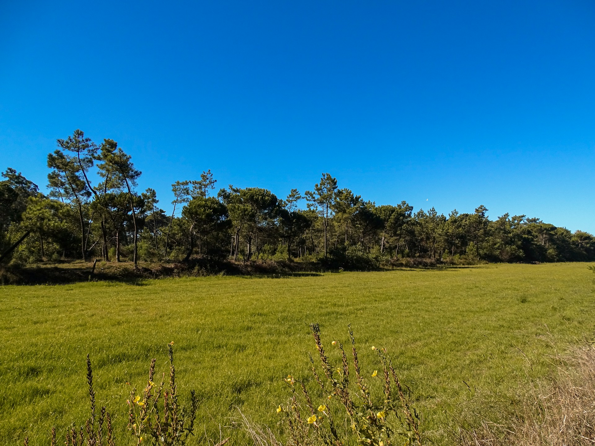 An empty block of Australian land